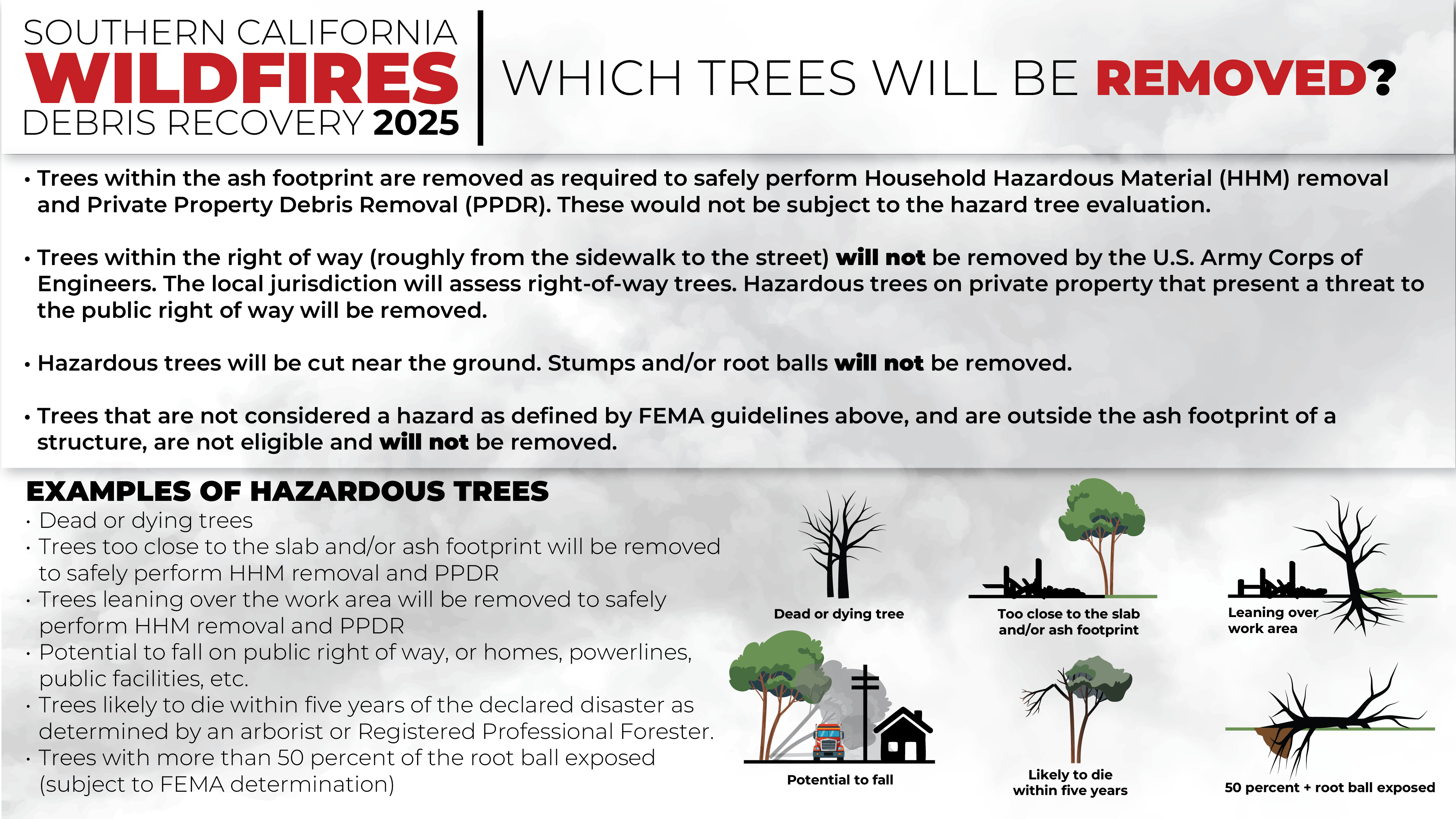 Hazard Trees Graphic Two